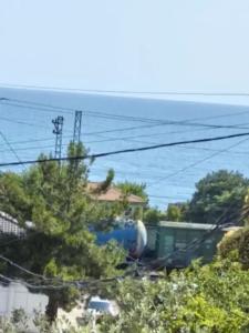 В гостях у Анны - 31