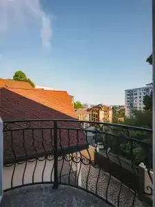 Grand Way Виноград - 24