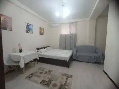 Ари - 7