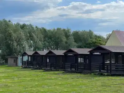 Чешуя - 33