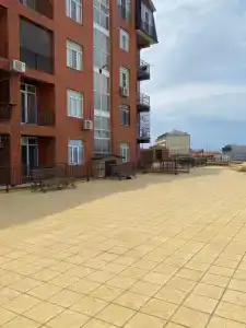 Ари - 24