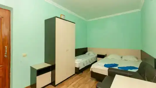 Лиза - 12