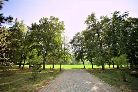 Сакра - 19
