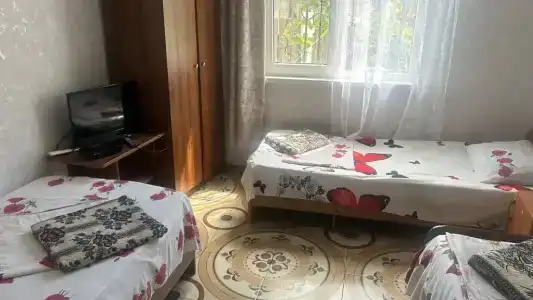 Лев и Русико - 5