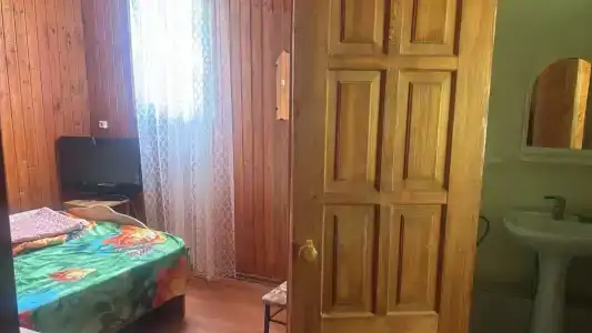 Лев и Русико - 12