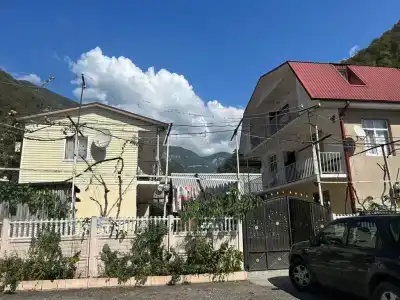 Лев и Русико - 17