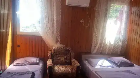 Лев и Русико - 18