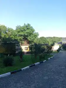 Лесная сказка - 63