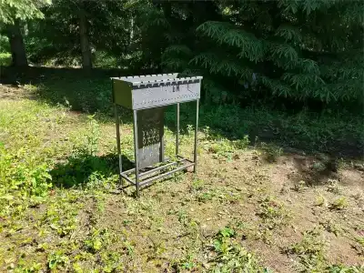 Ручьи - 36