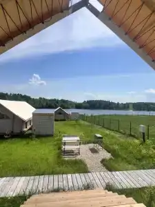 Птички - 31