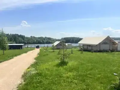 Птички - 34