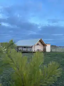 Птички - 27