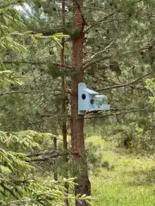 Ивашнёво - 71