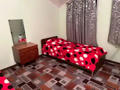 Алиса - 18