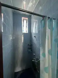 Алиса - 26