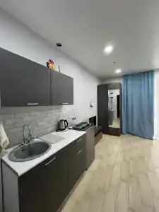 White House - 480