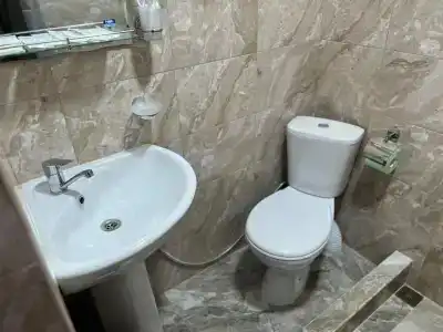 Иней - 11