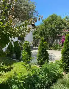 Guest House Family - 89