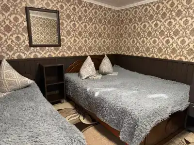 Дельфин - 62