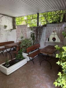 Коралл - 36