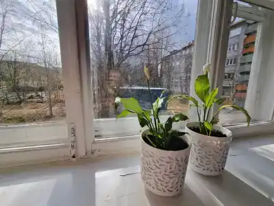 Loparochka - 48