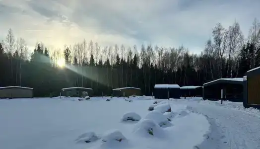 Романов Лес - 90