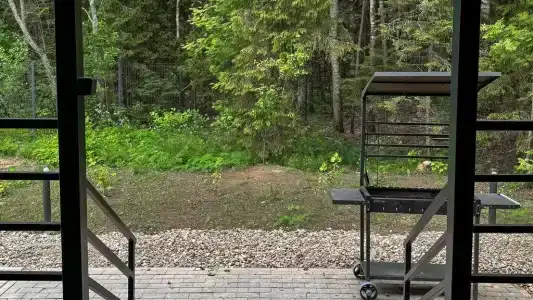 Романов Лес - 88