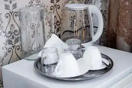 Магас - 25