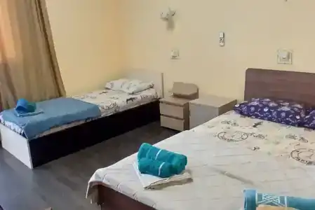 Рапыца - 24