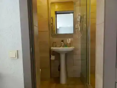 Каштан - 132