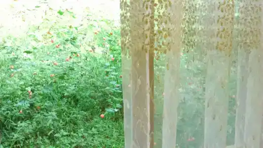 София - 15