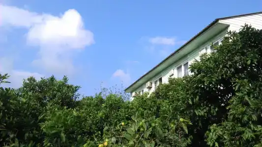 София - 24