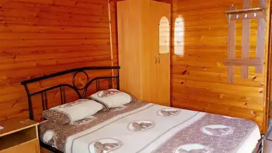 София - 20