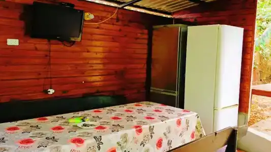 София - 26