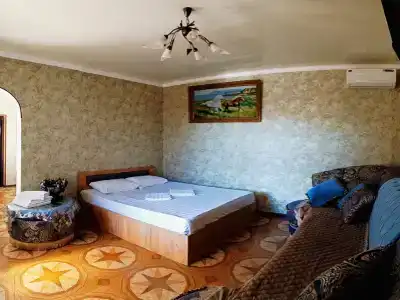 София - 81