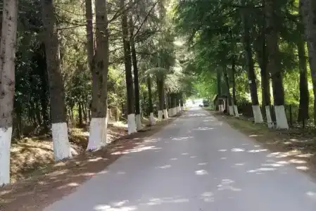 Домики у моря - 53