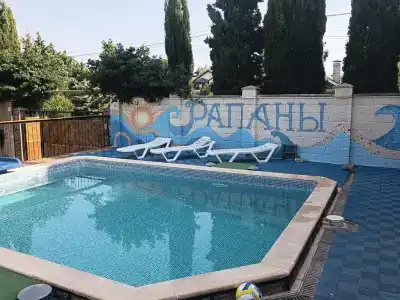 Рапаны - 11