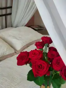 Премьера на Невском - 4