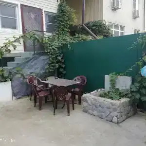 Ариша - 1