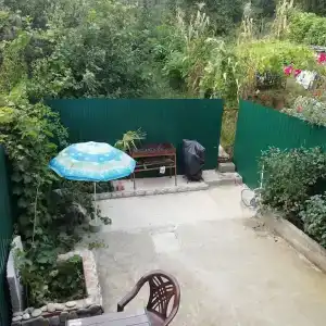 Ариша - 0