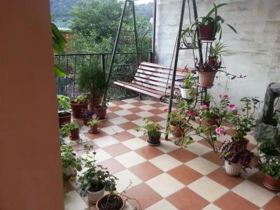 Голден роус - 1