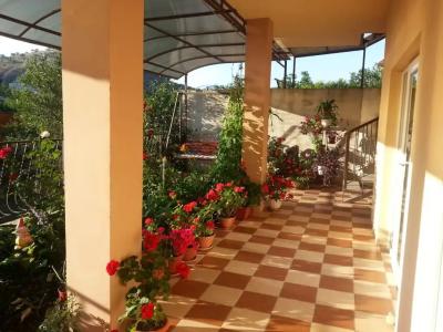 Голден роус - 2