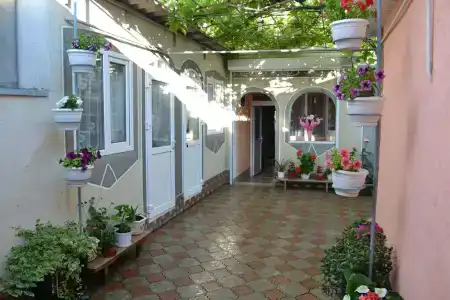 Изабелла - 0