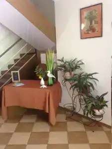 Смс-Юг - 20