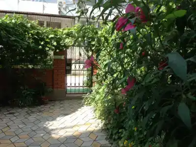 Смс-Юг - 12