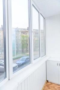 Снегири - 11