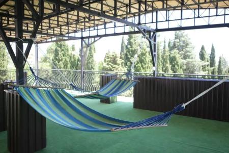 Фламинго - 8