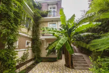 Каштановый особняк - 2