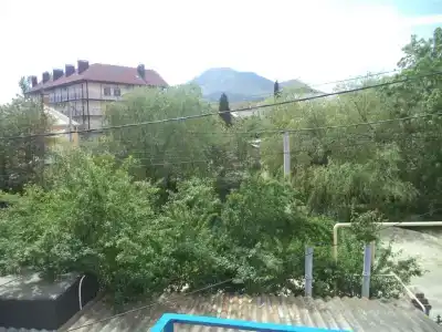 Арчи - 0