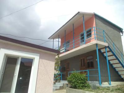 Арчи - 9